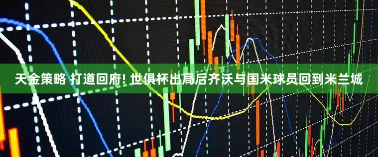 天金策略 打道回府! 世俱杯出局后齐沃与国米球员回到米兰城
