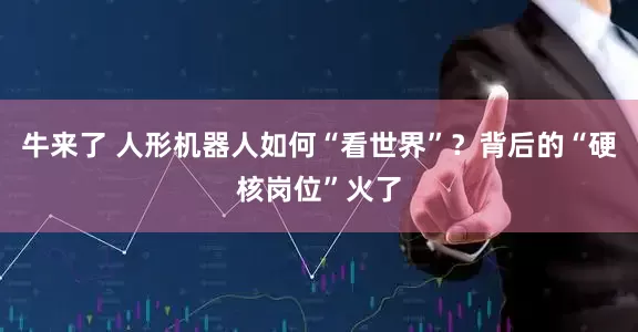 牛来了 人形机器人如何“看世界”？背后的“硬核岗位”火了
