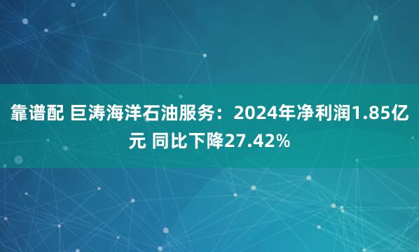 靠谱配 巨涛海洋石油服务：2024年净利润1.85亿元 同比下降27.42%